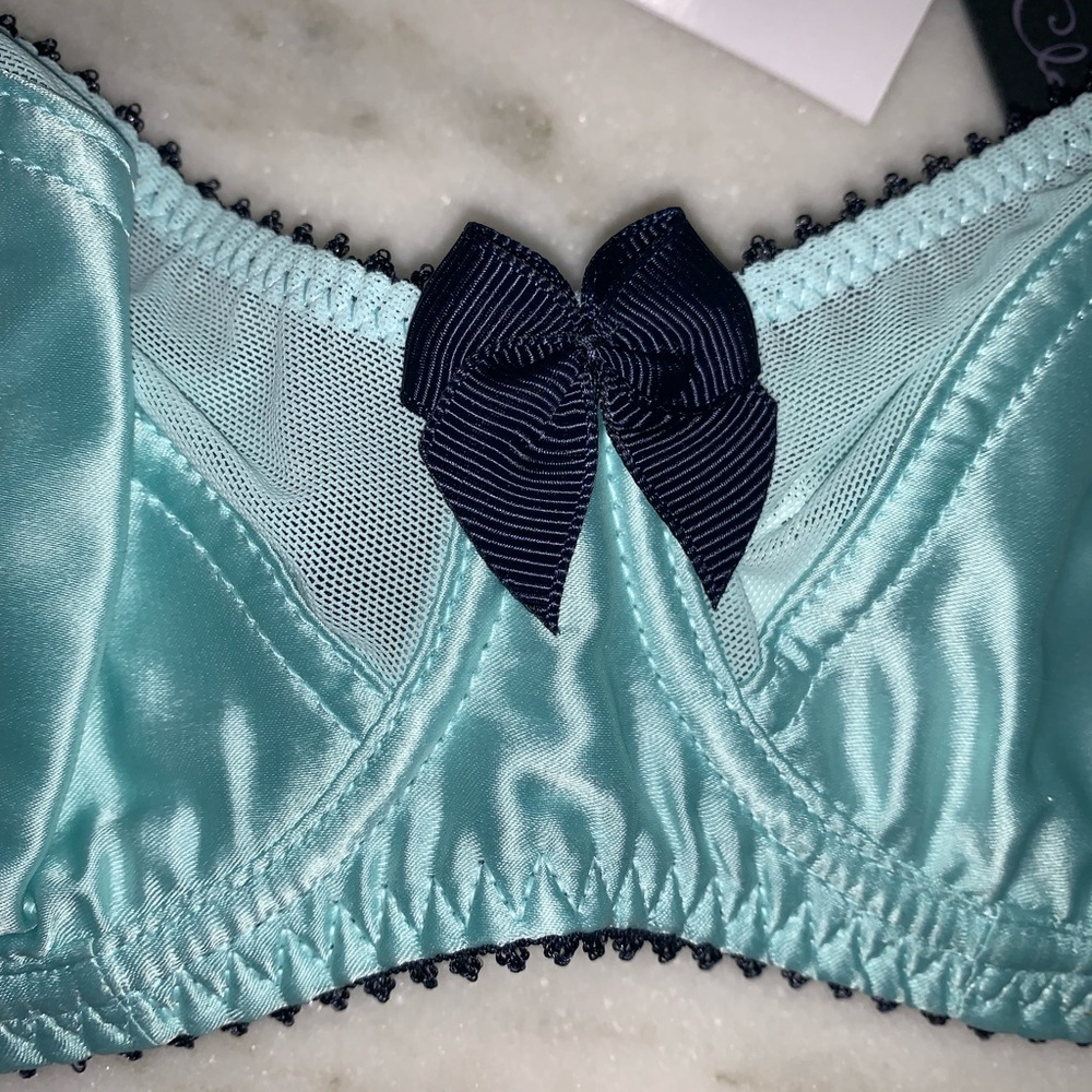 Claudette Dessous Paramour Bra - Picture 2 of 10